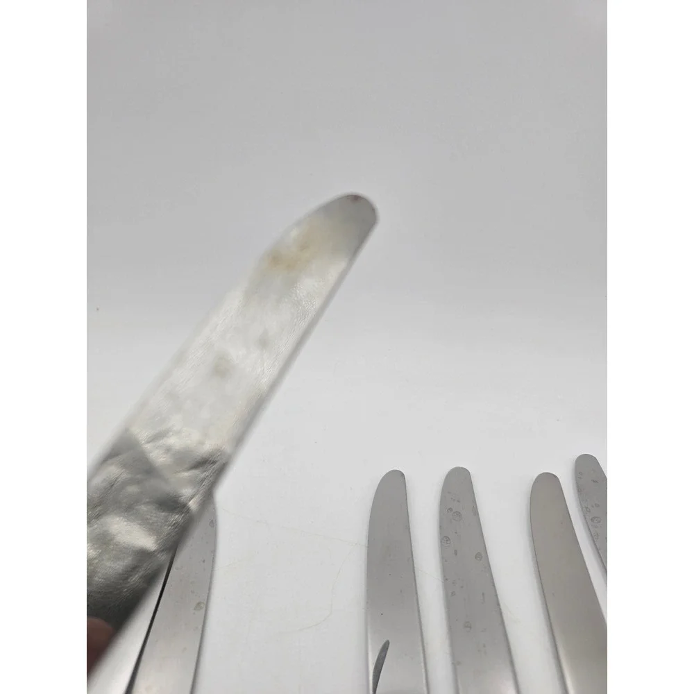 Holmes & Edwards May Queen Silverplate Dinner Knives Set of 10 Floral 9.25in